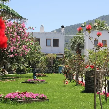 فندق Mandalya غولتوركبوكو