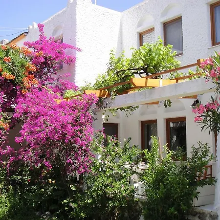 Mandalya * غولتوركبوكو