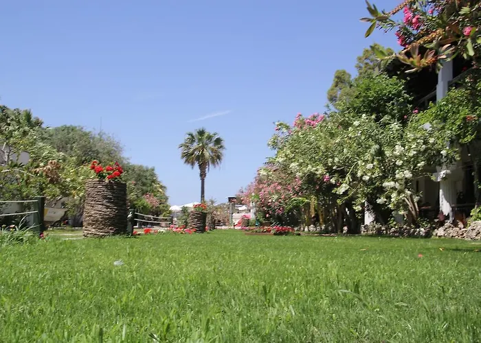 Mandalya * Golturkbuku