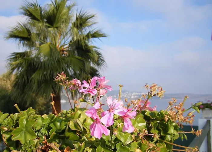 Mandalya Szálloda *