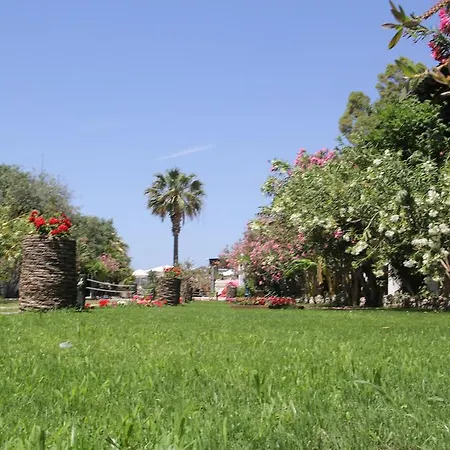 Mandalya * Golturkbuku